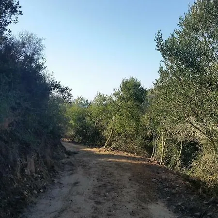 Βίλα Aleksandros *